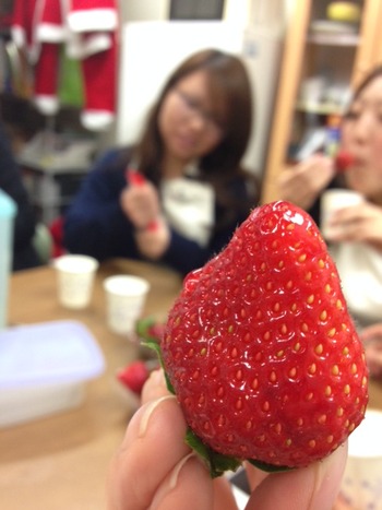 いちご２