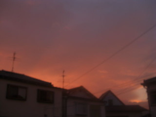 CIMG0441