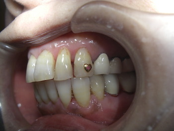 CIMG1263