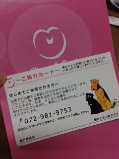 紹介カード