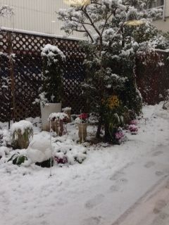 雪3