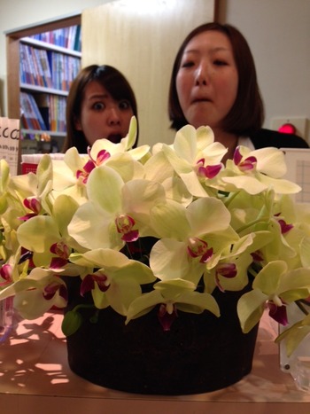 お花4